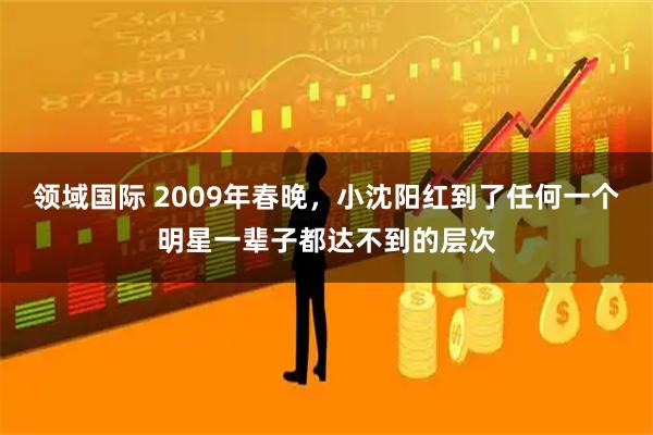 领域国际 2009年春晚，小沈阳红到了任何一个明星一辈子都达不到的层次