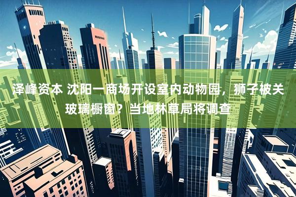 泽峰资本 沈阳一商场开设室内动物园，狮子被关玻璃橱窗？当地林草局将调查