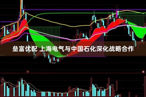 垒富优配 上海电气与中国石化深化战略合作
