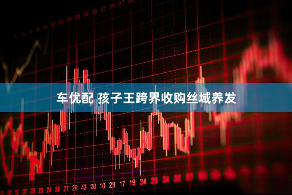 车优配 孩子王跨界收购丝域养发