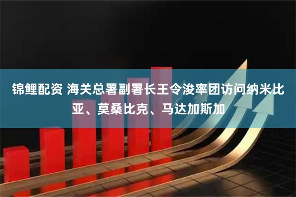 锦鲤配资 海关总署副署长王令浚率团访问纳米比亚、莫桑比克、马达加斯加